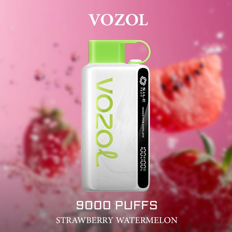 VOZOL STRAWBERRY WATERMELON – 9000 PUFFS