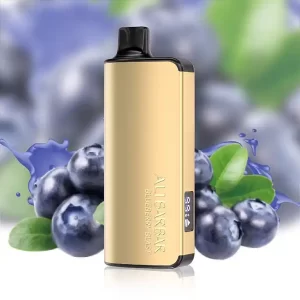 ALIBARBAR INGOT BLUEBERRY BLAST-9000 PUFFS – AusVape Direct
