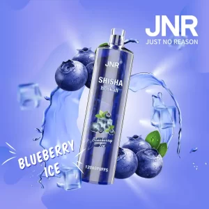 JNR Shisha Hookah – Blueberry Mint 12,000 – AusVape Direct