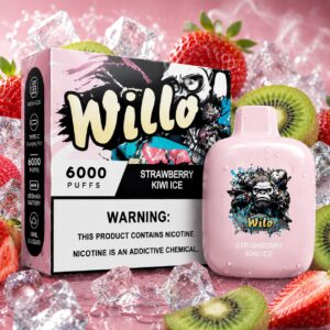 WILLO STRAWBERRY KIWI ICE 6000 PUFFS